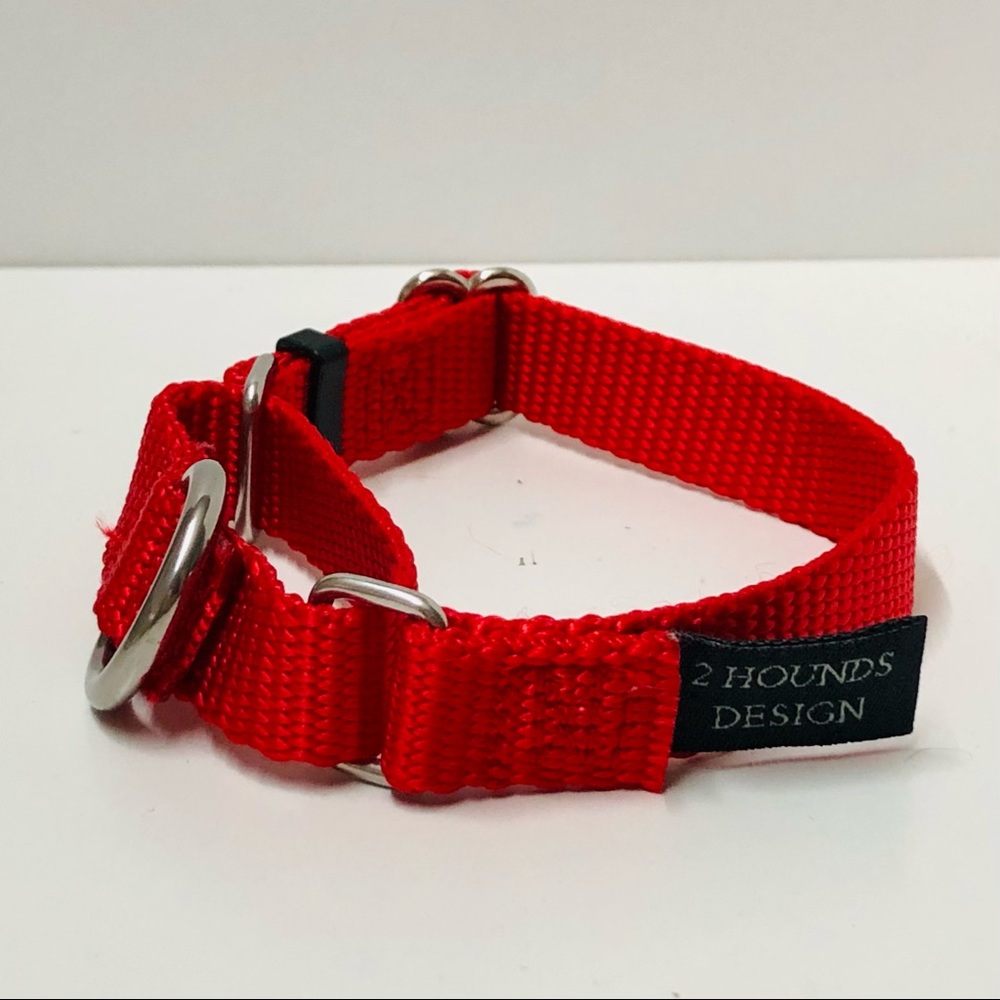 2Hounds Design Martingale Nylon Dog Collar, Red, XS